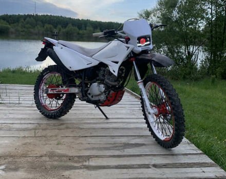 Белый СкайБайк Liger, объемом двигателя 0.2 л и пробегом 177 тыс. км за 1450 $, фото 1 на Automoto.ua