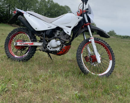 Белый СкайБайк Liger, объемом двигателя 0.2 л и пробегом 177 тыс. км за 1450 $, фото 2 на Automoto.ua