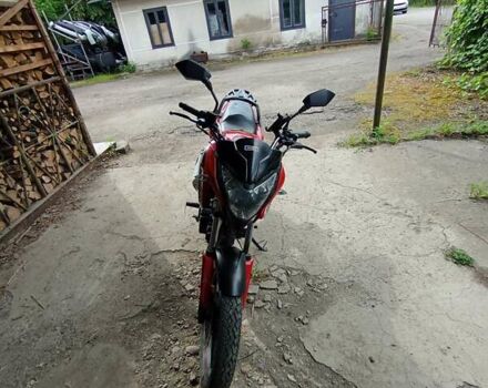 Красный СкайБайк Tiger, объемом двигателя 0.2 л и пробегом 44 тыс. км за 750 $, фото 3 на Automoto.ua