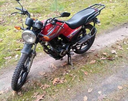 Червоний СкайМото Бьорд, об'ємом двигуна 1.25 л та пробігом 20 тис. км за 250 $, фото 9 на Automoto.ua