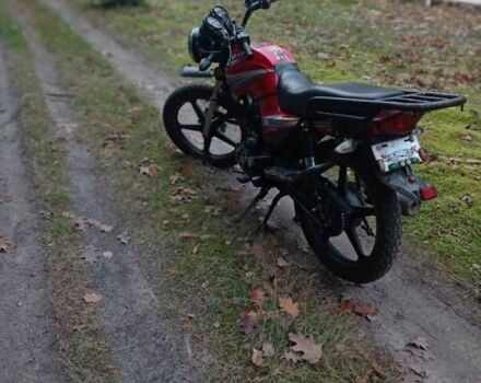 Червоний СкайМото Бьорд, об'ємом двигуна 1.25 л та пробігом 20 тис. км за 250 $, фото 2 на Automoto.ua