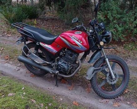 Червоний СкайМото Бьорд, об'ємом двигуна 1.25 л та пробігом 20 тис. км за 250 $, фото 4 на Automoto.ua