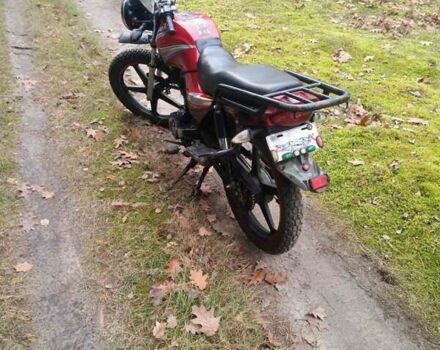 Червоний СкайМото Бьорд, об'ємом двигуна 1.25 л та пробігом 20 тис. км за 250 $, фото 5 на Automoto.ua