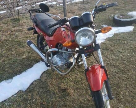 СкайМото Берд, объемом двигателя 0 л и пробегом 8 тыс. км за 500 $, фото 2 на Automoto.ua