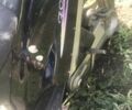 Черный СкайМото Фокс, объемом двигателя 0 л и пробегом 10 тыс. км за 95 $, фото 2 на Automoto.ua