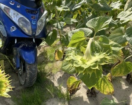 Спарк Інша, об'ємом двигуна 0.17 л та пробігом 0 тис. км за 350 $, фото 1 на Automoto.ua