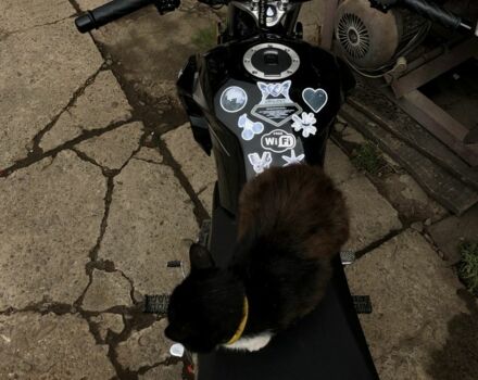 Спарк Другая, объемом двигателя 0.15 л и пробегом 0 тыс. км за 756 $, фото 6 на Automoto.ua