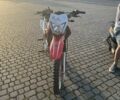 Спарк Другая 2022 в Ужгороде на Automoto.ua Спарк Другая, объемом двигателя 0.2 л и пробегом 0 тыс. км за 764 $, фото 4 на Automoto.ua