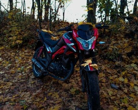 Спарк Інша, об'ємом двигуна 0.2 л та пробігом 0 тис. км за 944 $, фото 2 на Automoto.ua