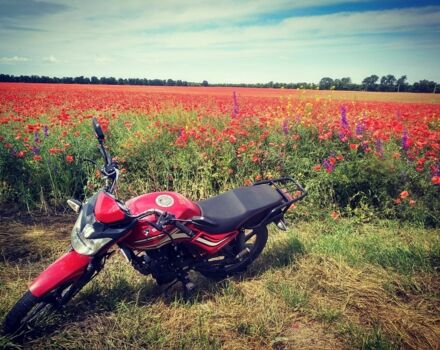Спарк Другая 2019 в Подольск (Котовск) на Automoto.ua Спарк Другая, объемом двигателя 0 л и пробегом 0 тыс. км за 716 $, фото 4 на Automoto.ua