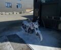 Спарк Другая, объемом двигателя 0.2 л и пробегом 0 тыс. км за 900 $, фото 1 на Automoto.ua