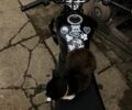 Спарк Другая, объемом двигателя 0.15 л и пробегом 0 тыс. км за 751 $, фото 6 на Automoto.ua