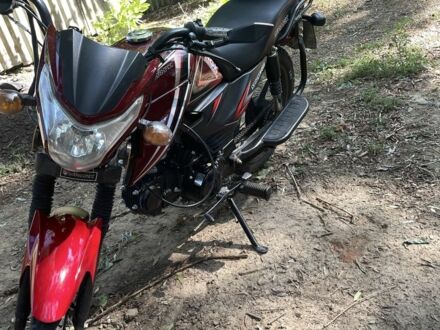 Спарк Інша 2019 у Новомиргороде на Automoto.ua Спарк Інша, об'ємом двигуна 0.13 л та пробігом 0 тис. км за 613 $, фото 1 на Automoto.ua