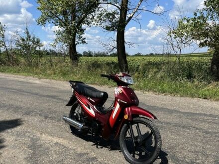 Спарк Інша 2022 у Хотине на Automoto.ua Спарк Інша, об'ємом двигуна 0.13 л та пробігом 0 тис. км за 490 $, фото 1 на Automoto.ua