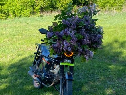 Спарк Інша 2023 у Нежине на Automoto.ua Спарк Інша, об'ємом двигуна 0.13 л та пробігом 0 тис. км за 532 $, фото 1 на Automoto.ua