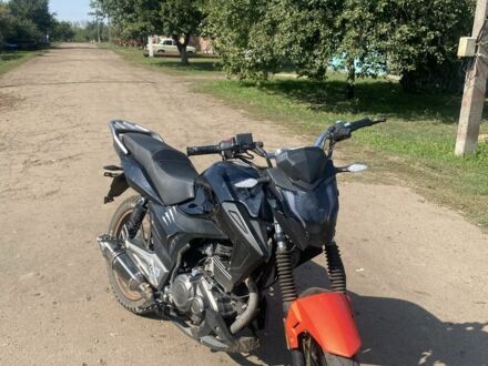 Спарк Інша 2024 у Богодухове на Automoto.ua Спарк Інша, об'ємом двигуна 0.2 л та пробігом 0 тис. км за 950 $, фото 1 на Automoto.ua