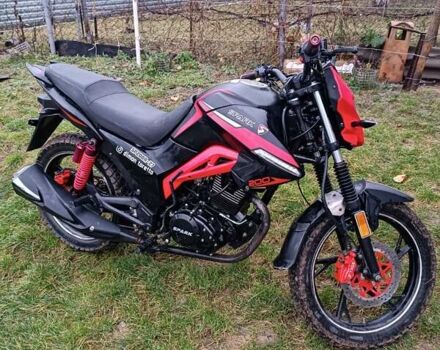 Спарк SP 200R-17, объемом двигателя 0.2 л и пробегом 6 тыс. км за 850 $, фото 5 на Automoto.ua