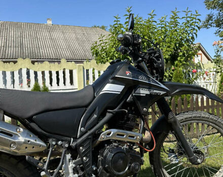 Спарк SP 250D-3, объемом двигателя 0.25 л и пробегом 4 тыс. км за 845 $, фото 12 на Automoto.ua