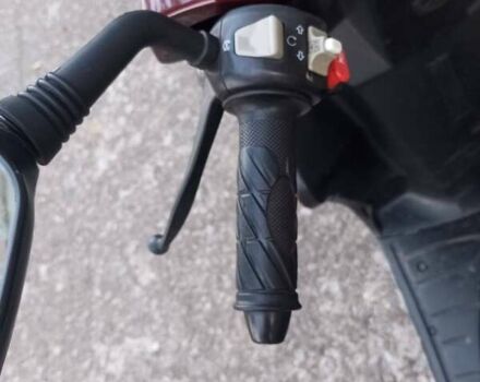 Спид Гир 50 2008 в Киеве на Automoto.ua Спид Гир 50, объемом двигателя 0 л и пробегом 7 тыс. км за 400 $, фото 2 на Automoto.ua