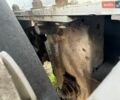 Шпитцер СФ, объемом двигателя 0 л и пробегом 0 тыс. км за 25128 $, фото 12 на Automoto.ua