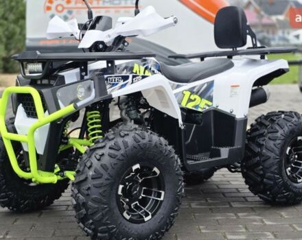 Спорт Енерджи ATV 125, объемом двигателя 0.13 л и пробегом 0 тыс. км за 1270 $, фото 34 на Automoto.ua