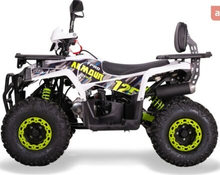 Спорт Енерджи AY 125, объемом двигателя 0.12 л и пробегом 0 тыс. км за 1100 $, фото 3 на Automoto.ua