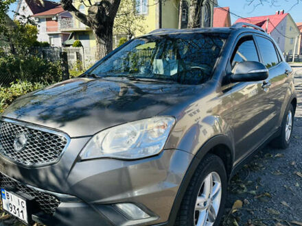 Cанг Йонг Korando 2013 у Чернівцях на Automoto.ua Сірий Cанг Йонг Korando, об'ємом двигуна 2 л та пробігом 220 тис. км за 8700 $, фото 1 на Automoto.ua