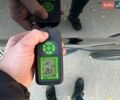 Черный Cанг Йонг Рекстон, объемом двигателя 2 л и пробегом 259 тыс. км за 12999 $, фото 45 на Automoto.ua