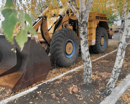 Сталёва Воля Л 34 1993 в Близнюках на Automoto.ua Сталёва Воля Л 34, объемом двигателя 0 л и пробегом 0 тыс. км за 15000 $, фото 1 на Automoto.ua