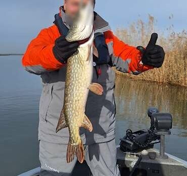 Червоний Старкрафт Starweld, об'ємом двигуна 0 л та пробігом 100 тис. км за 34876 $, фото 12 на Automoto.ua