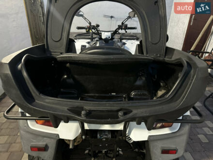 Білий Стелс АТВ, об'ємом двигуна 0.7 л та пробігом 17 тис. км за 5500 $, фото 1 на Automoto.ua