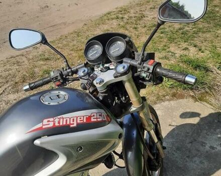 Стингер 250, объемом двигателя 0 л и пробегом 11 тыс. км за 719 $, фото 4 на Automoto.ua