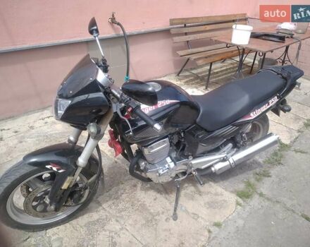 Стингер 250, объемом двигателя 0.25 л и пробегом 100 тыс. км за 1300 $, фото 6 на Automoto.ua