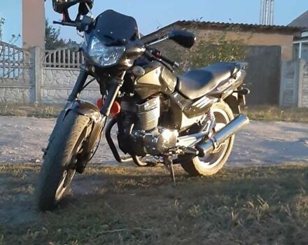 Стингер 250, объемом двигателя 0.25 л и пробегом 100 тыс. км за 1300 $, фото 2 на Automoto.ua