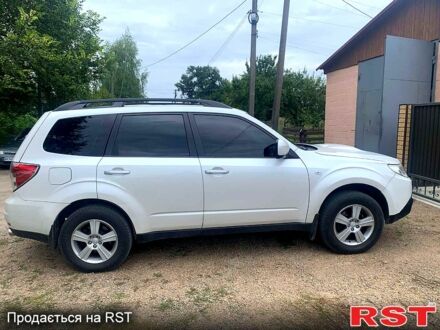 Субару Forester 2010 у Олевске на Automoto.ua Білий Субару Forester, об'ємом двигуна 2 л та пробігом 260 тис. км за 7999 $, фото 1 на Automoto.ua