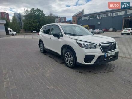Субару Форестер 2019 в Днепре (Днепропетровске) на Automoto.ua Белый Субару Форестер, объемом двигателя 2.5 л и пробегом 19 тыс. км за 15000 $, фото 1 на Automoto.ua