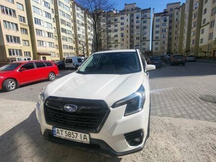 Субару Форестер 2021 в Ивано-Франковске на Automoto.ua Белый Субару Форестер, объемом двигателя 2.5 л и пробегом 24 тыс. км за 22900 $, фото 1 на Automoto.ua