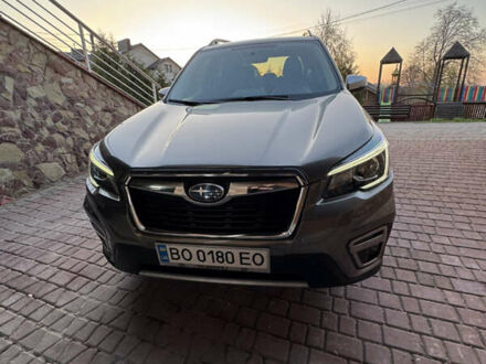 Субару Форестер 2019 в Тернополе на Automoto.ua Коричневый Субару Форестер, объемом двигателя 2.5 л и пробегом 72 тыс. км за 26999 $, фото 1 на Automoto.ua