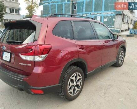 Субару Forester 2020 у Дніпро (Дніпропетровську) на Automoto.ua Червоний Субару Forester, об'ємом двигуна 2.5 л та пробігом 94 тис. км за 19700 $, фото 1 на Automoto.ua
