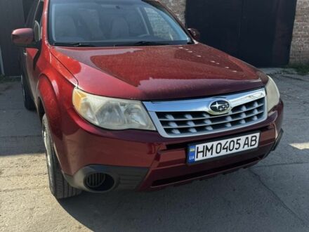 Субару Форестер 2013 в Ромнах на Automoto.ua Красный Субару Форестер, объемом двигателя 2.5 л и пробегом 144 тыс. км за 8000 $, фото 1 на Automoto.ua