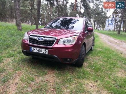 Субару Форестер 2015 в Сумах на Automoto.ua Красный Субару Форестер, объемом двигателя 2.5 л и пробегом 260 тыс. км за 11000 $, фото 1 на Automoto.ua