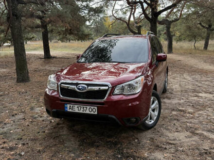 Субару Форестер 2015 в Днепре (Днепропетровске) на Automoto.ua Красный Субару Форестер, объемом двигателя 2.46 л и пробегом 141 тыс. км за 14000 $, фото 1 на Automoto.ua