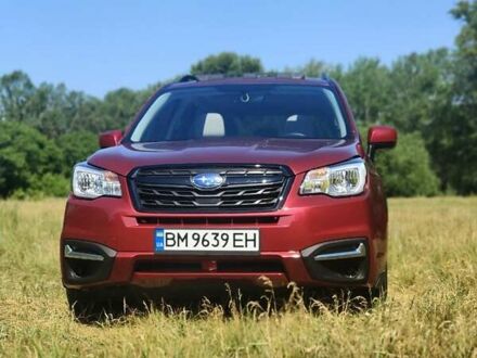 Субару Форестер 2017 в Сумах на Automoto.ua Красный Субару Форестер, объемом двигателя 2.5 л и пробегом 106 тыс. км за 13500 $, фото 1 на Automoto.ua