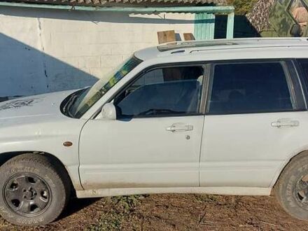 Субару Форестер 1999 в Новониколаевке на Automoto.ua Субару Форестер, объемом двигателя 1.99 л и пробегом 347 тыс. км за 5600 $, фото 1 на Automoto.ua