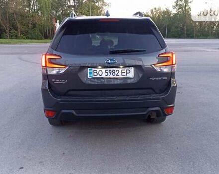 Сірий Субару Forester, об'ємом двигуна 2.5 л та пробігом 62 тис. км за 18900 $, фото 1 на Automoto.ua