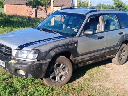 Сірий Субару Forester, об'ємом двигуна 0 л та пробігом 300 тис. км за 1910 $, фото 1 на Automoto.ua