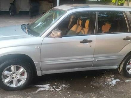 Субару Форестер 2004 в Овруче на Automoto.ua Серый Субару Форестер, объемом двигателя 2 л и пробегом 276 тыс. км за 6400 $, фото 1 на Automoto.ua
