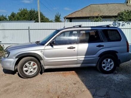 Субару Forester 2004 у Нежине на Automoto.ua Сірий Субару Forester, об'ємом двигуна 2 л та пробігом 430 тис. км за 4000 $, фото 1 на Automoto.ua