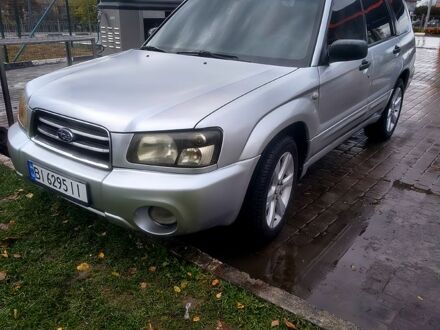 Субару Forester 2004 у Сумах на Automoto.ua Сірий Субару Forester, об'ємом двигуна 2 л та пробігом 200 тис. км за 4950 $, фото 1 на Automoto.ua