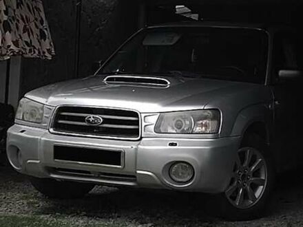 Субару Форестер 2005 в Черновцах на Automoto.ua Серый Субару Форестер, объемом двигателя 2 л и пробегом 305 тыс. км за 5650 $, фото 1 на Automoto.ua